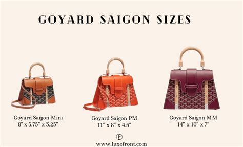 Goyard Saigon Review: Sizes, Prices, What Fits & More..